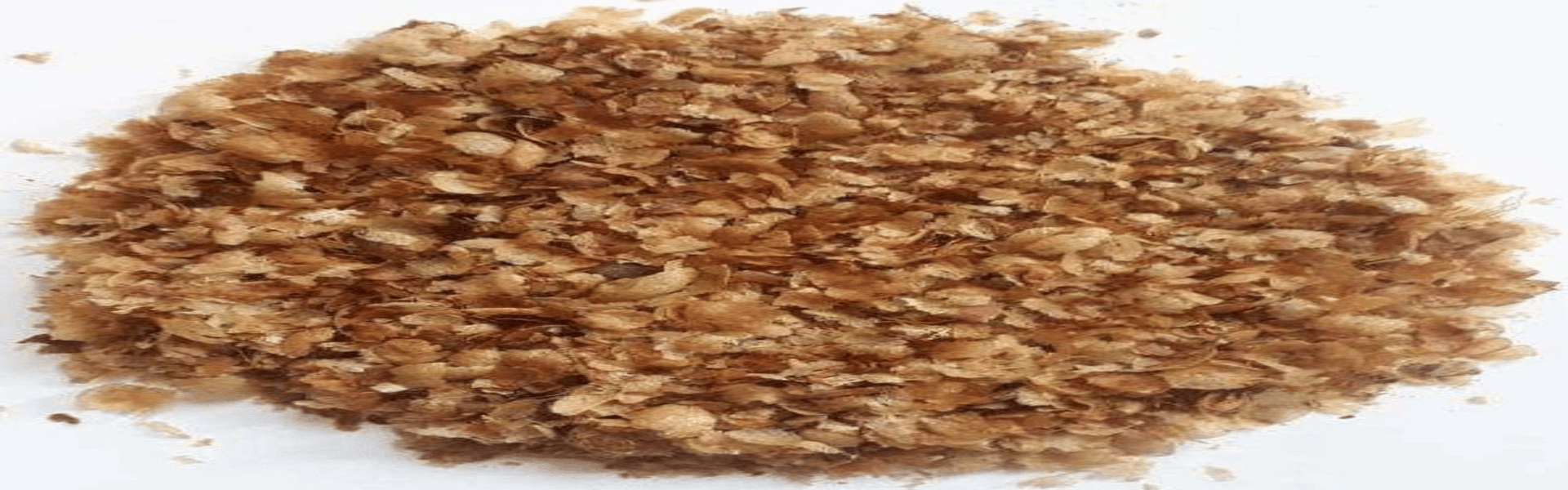 Kahve Atığından Fayans Üretimi